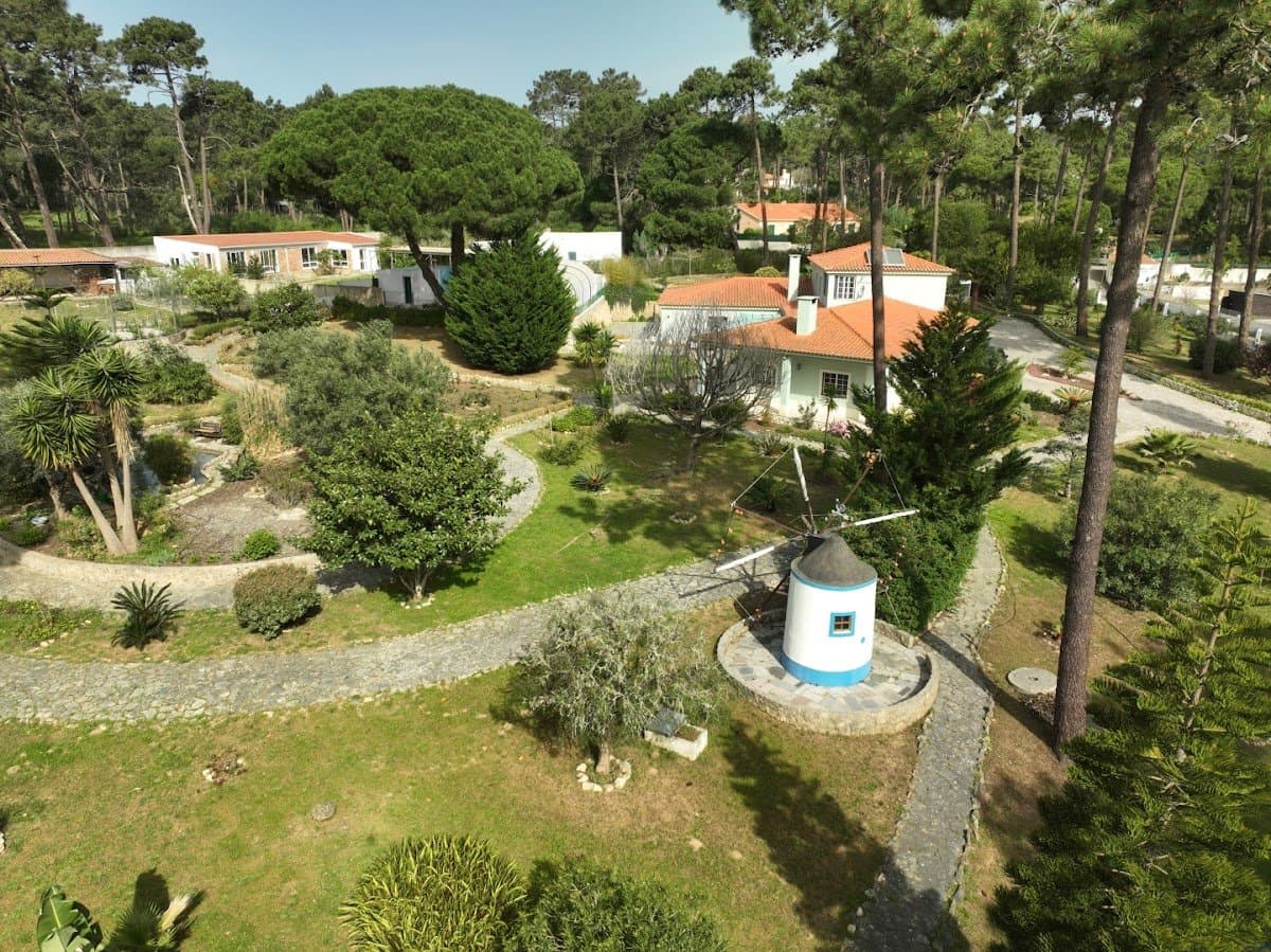 HYPHA International School - Hero/Card