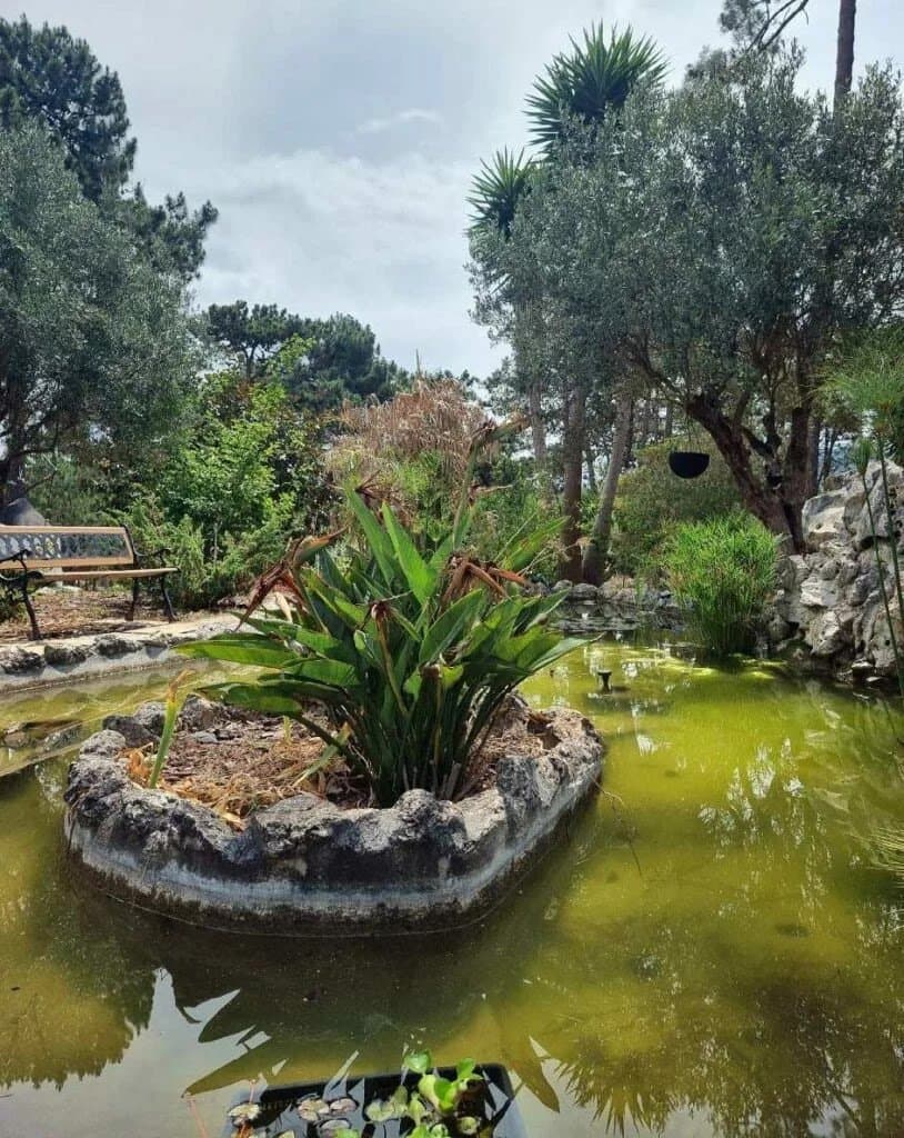 HYPHA International School - Atmosphere