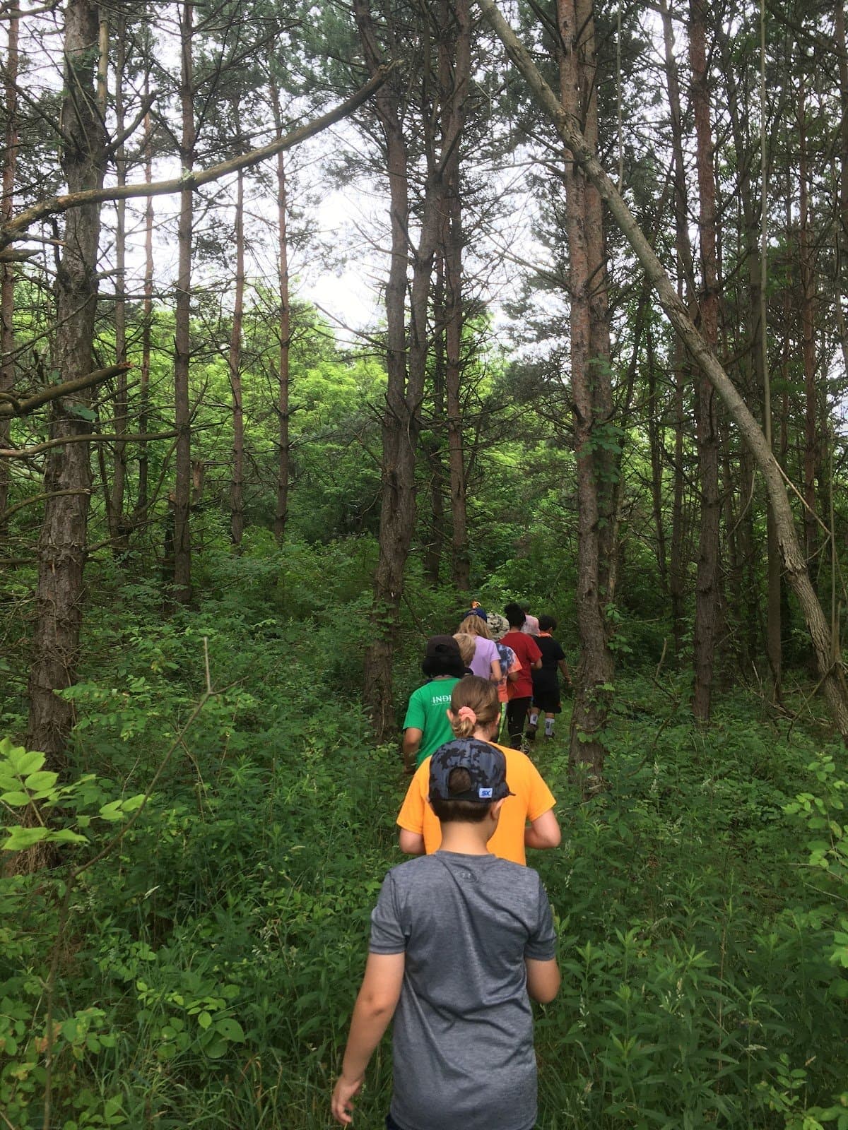 Indiana Outdoor School - Activity