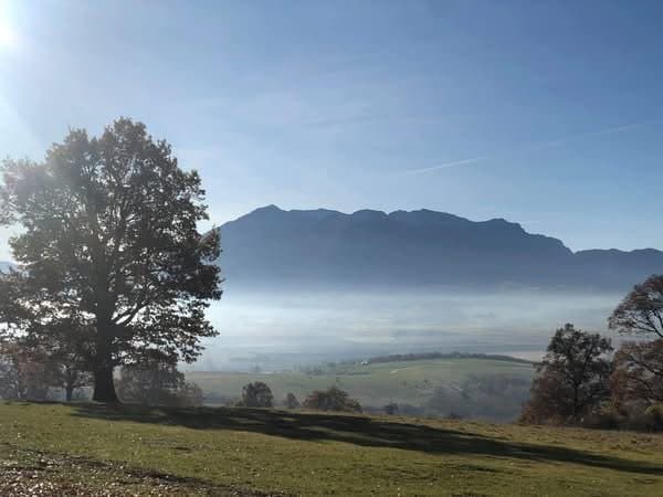 Inside Romania: Teens & Tweens Month in Transylvania - Photo 4