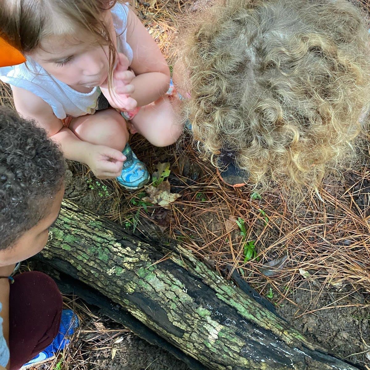 Into The Woods Playschool - Atmosphere