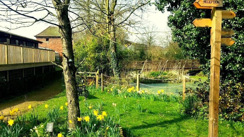 Iver Environment Centre - Hero/Card