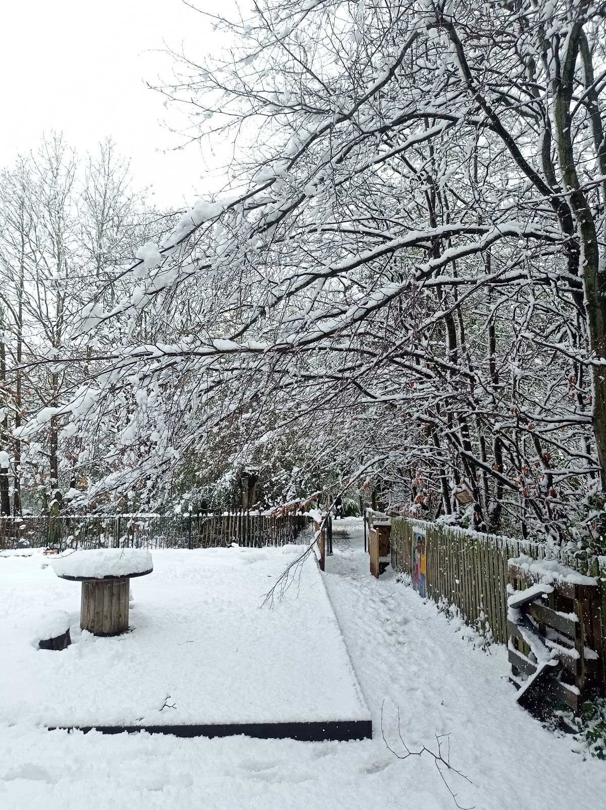 Kenwood Nature Nursery - Atmosphere