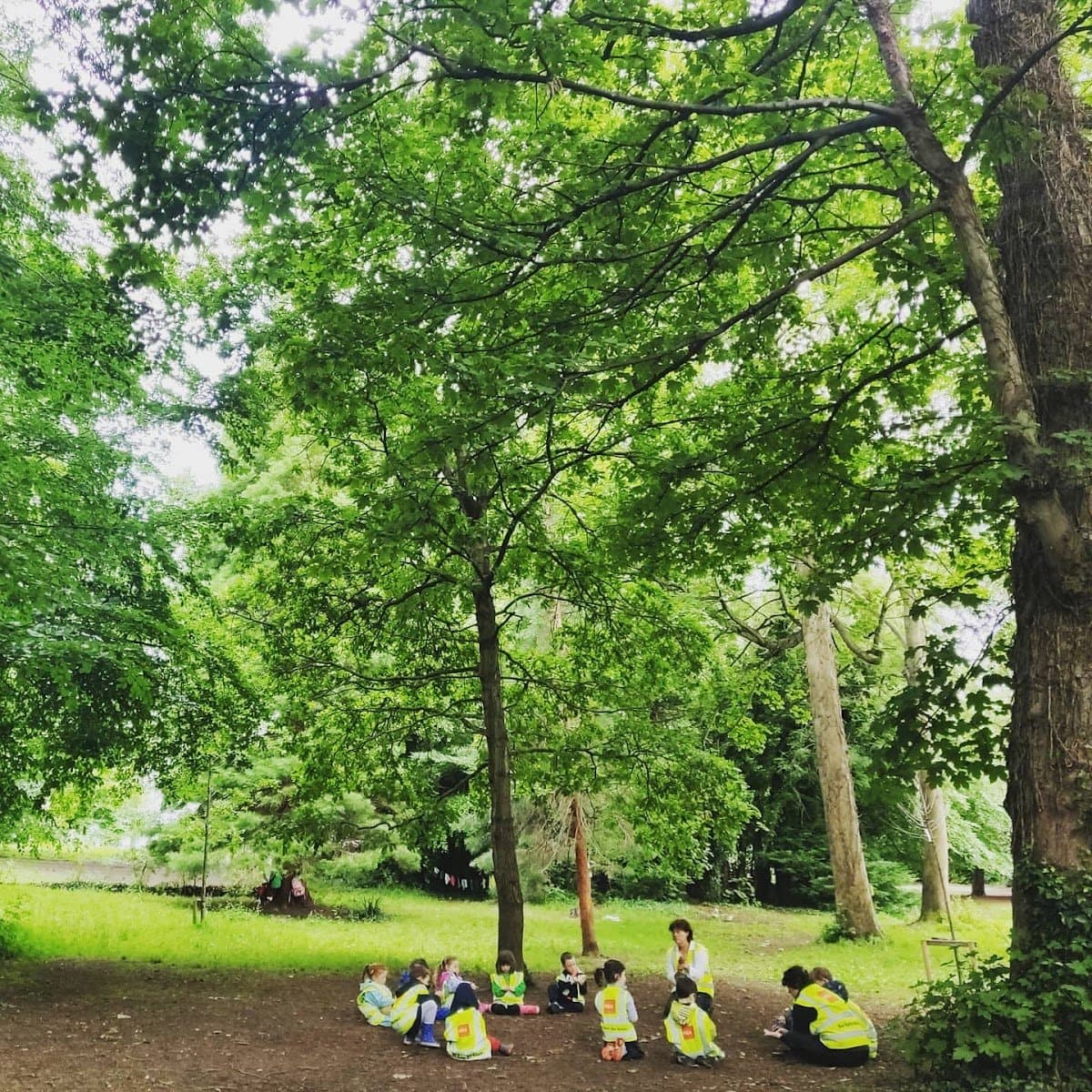 Kerkus Forest School - Atmosphere