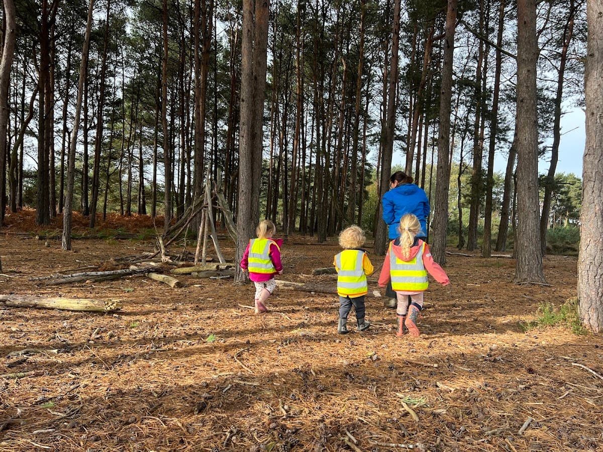 Kids Love Nature Kindergarten at Avon Heath - Activity