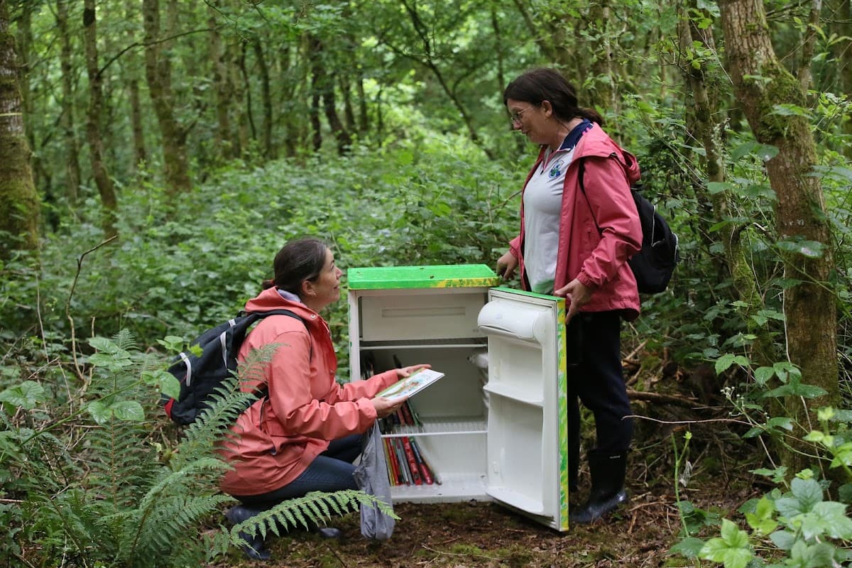 Laois Forest School - Atmosphere