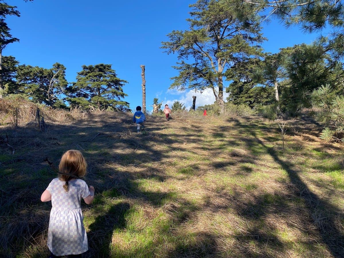 little earthlings forest school - Hero/Card