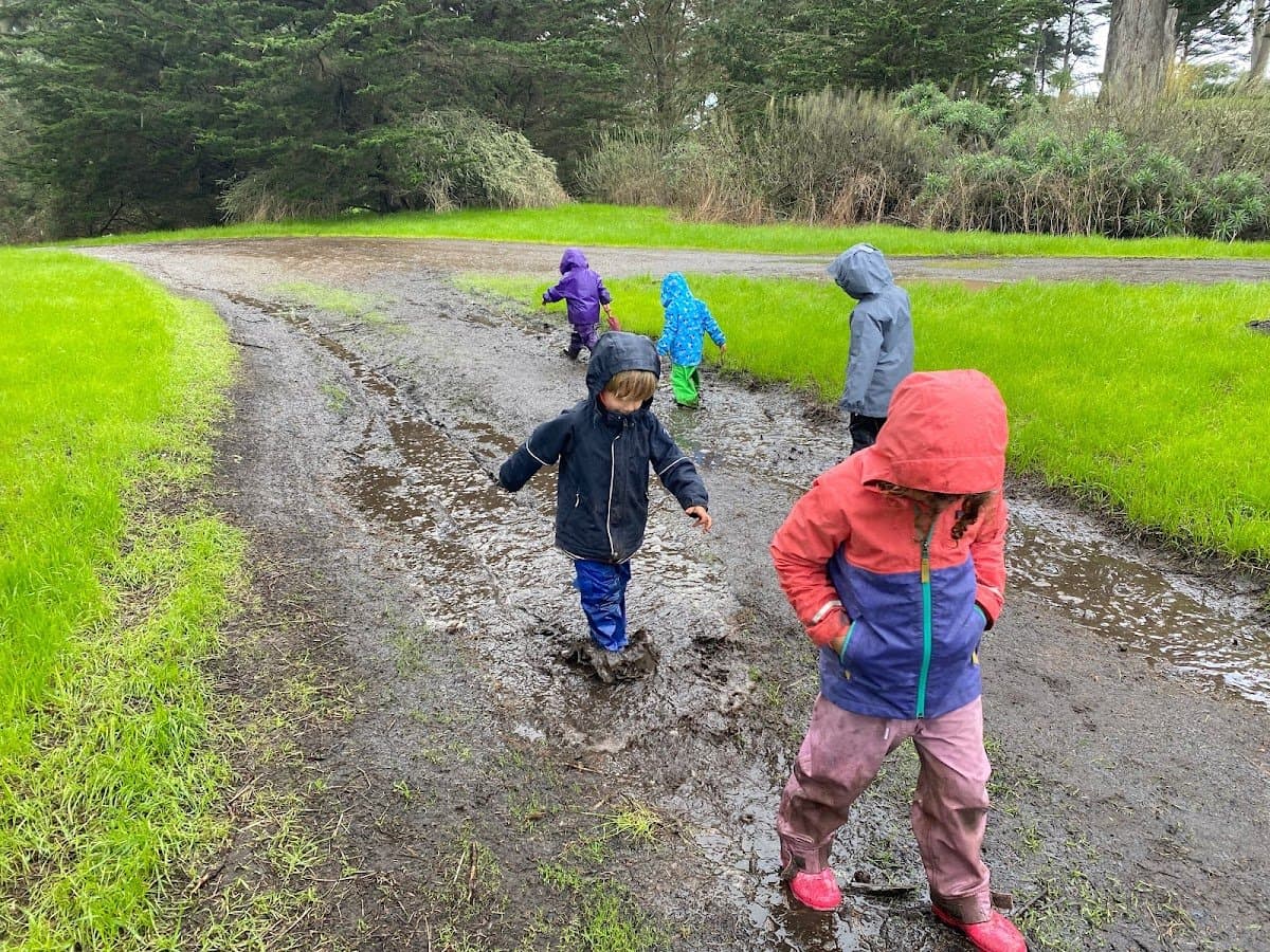 little earthlings forest school - Activity
