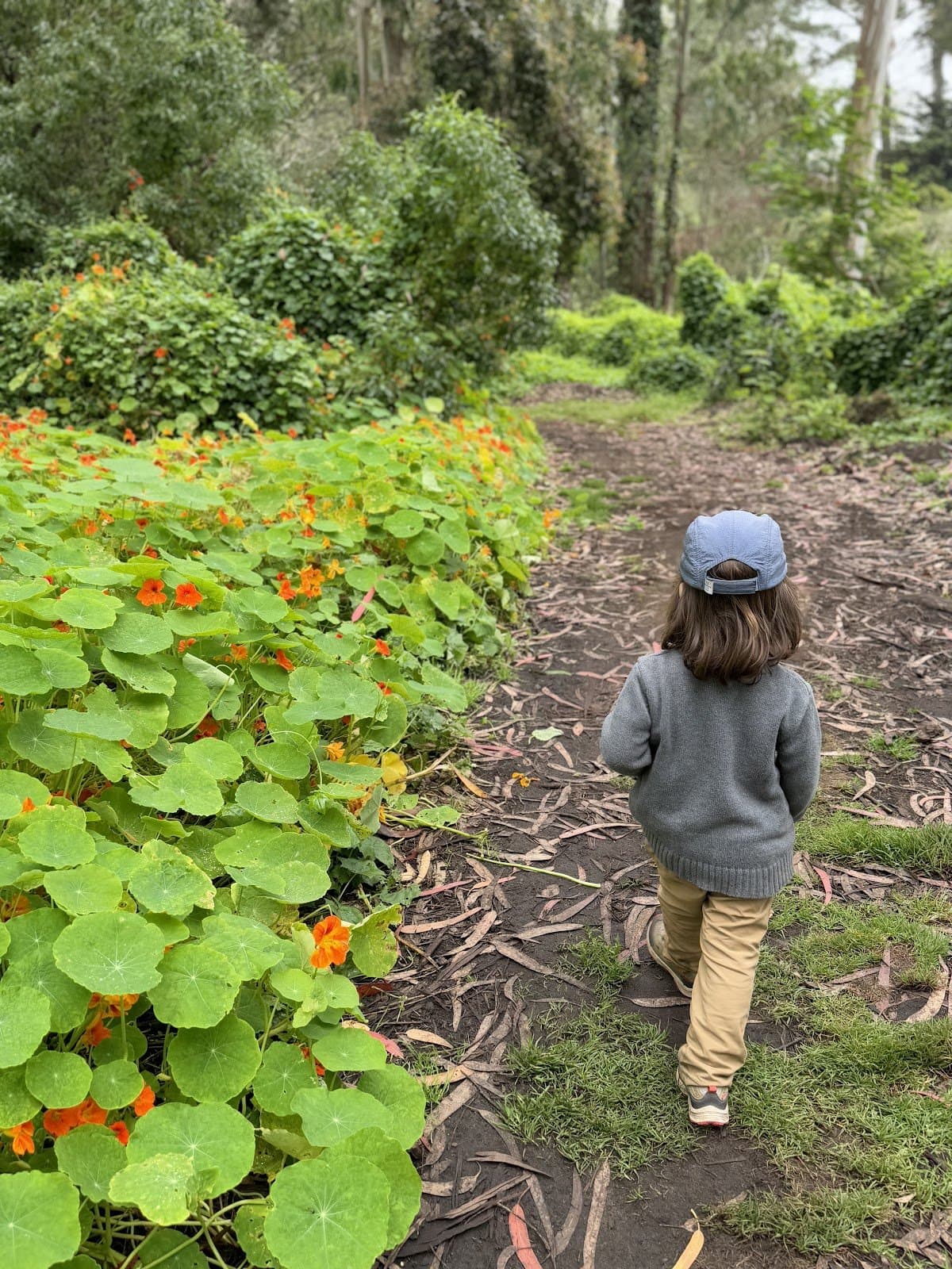 little earthlings forest school - Atmosphere