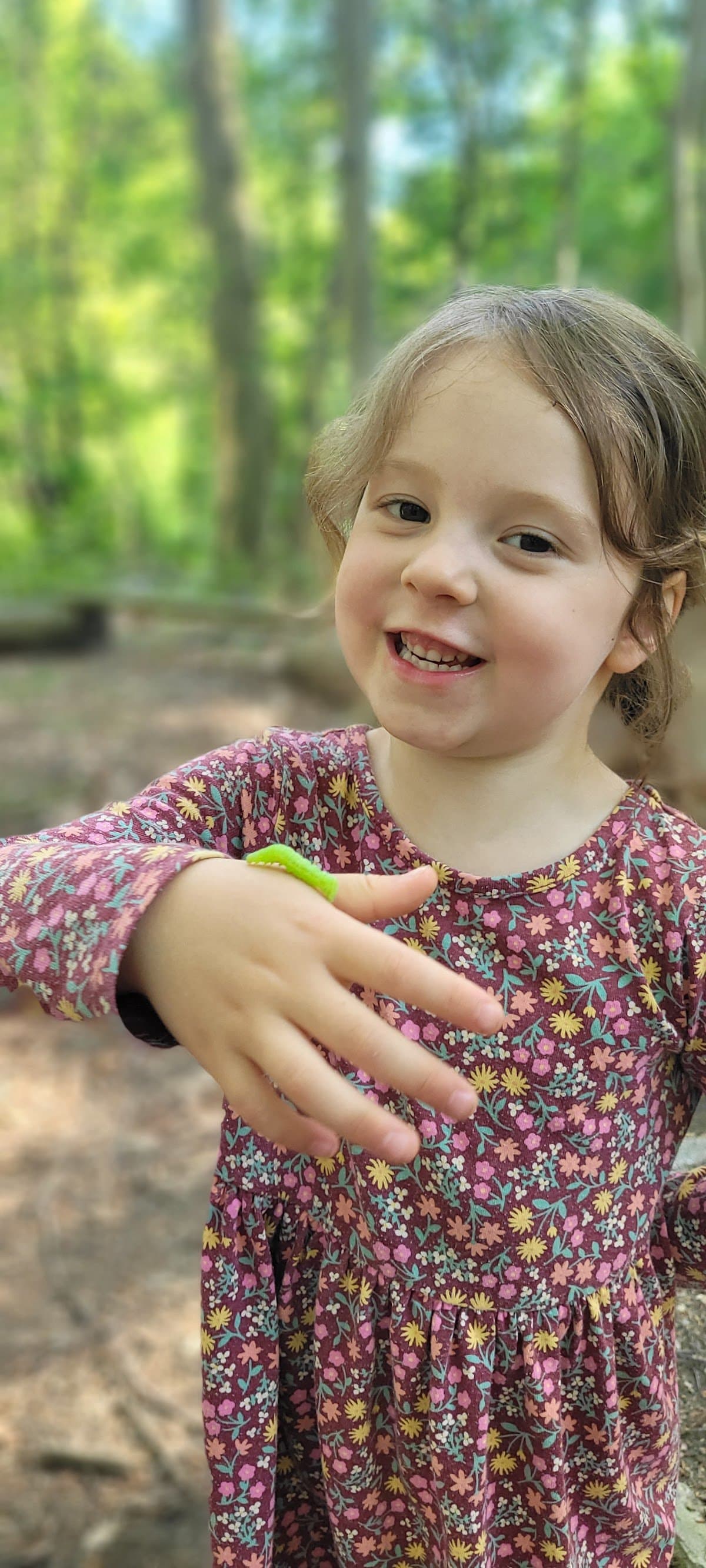 Little Ferns Nature Program - Activity