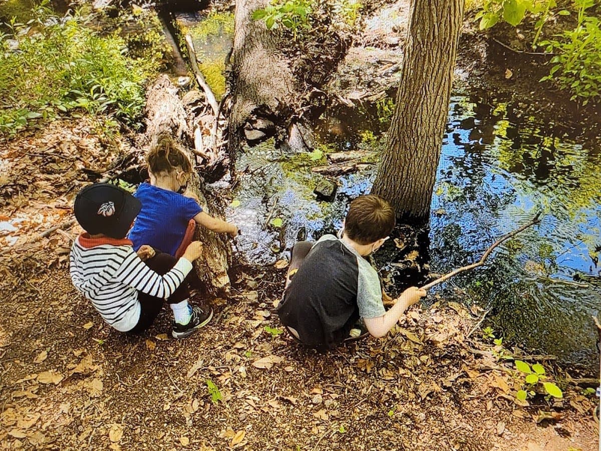 Little Ferns Nature Program - Atmosphere