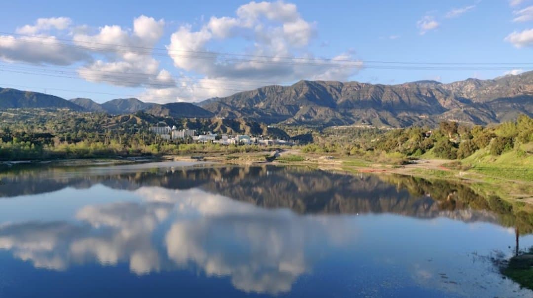 Little Finch Forest School LA - Hero/Card