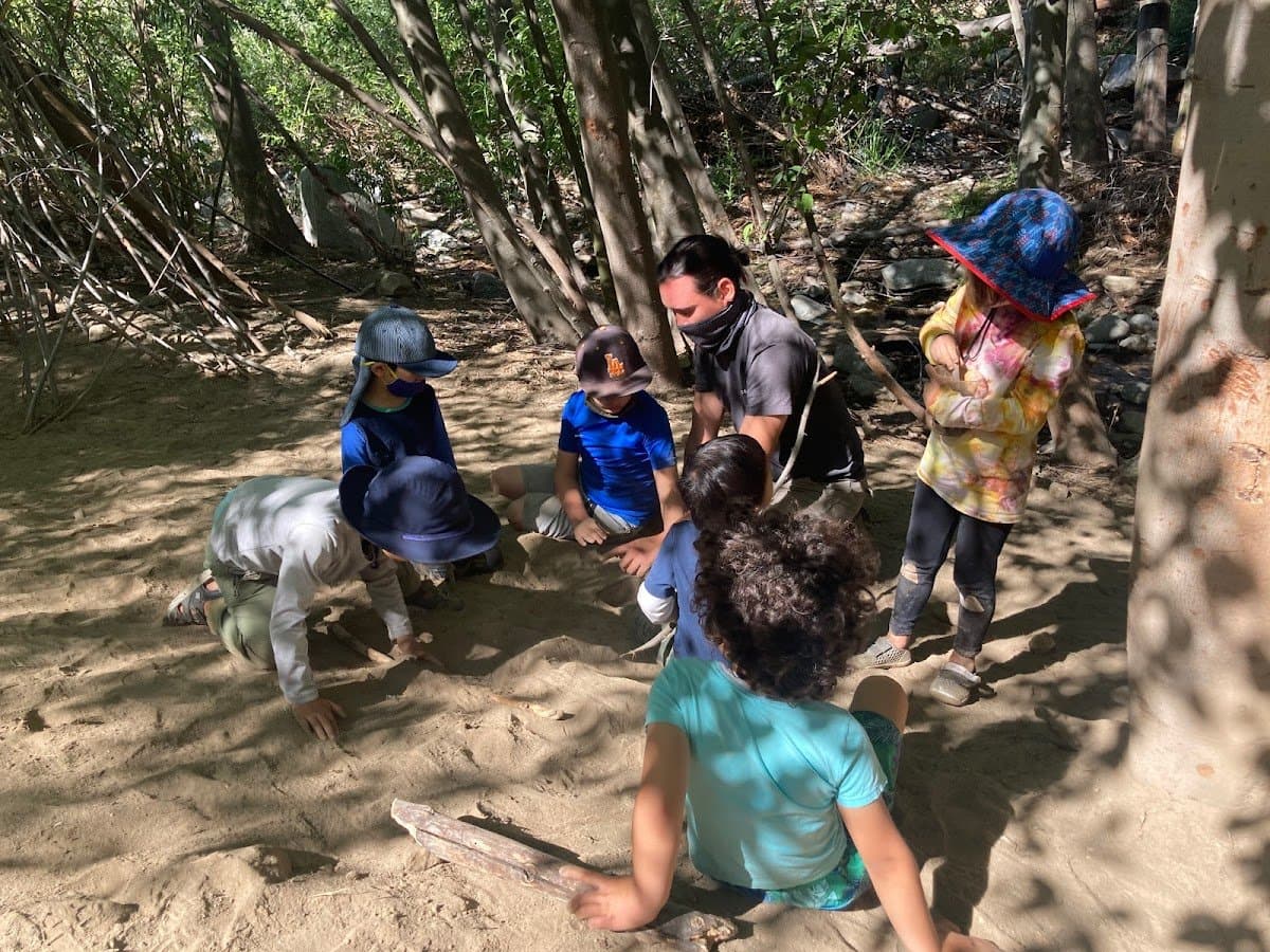Little Finch Forest School LA - Activity