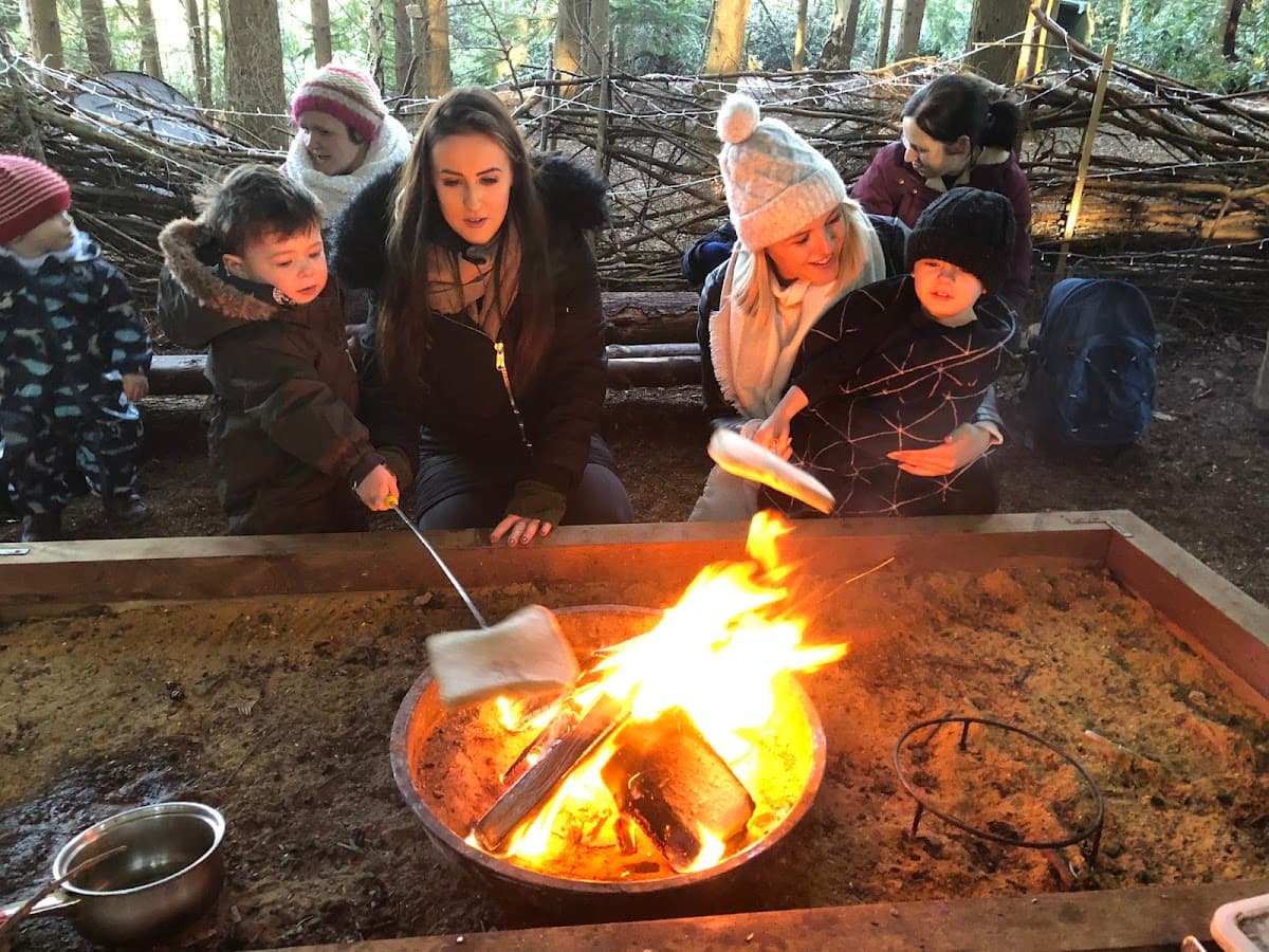 Little Forest Adventures - Activity