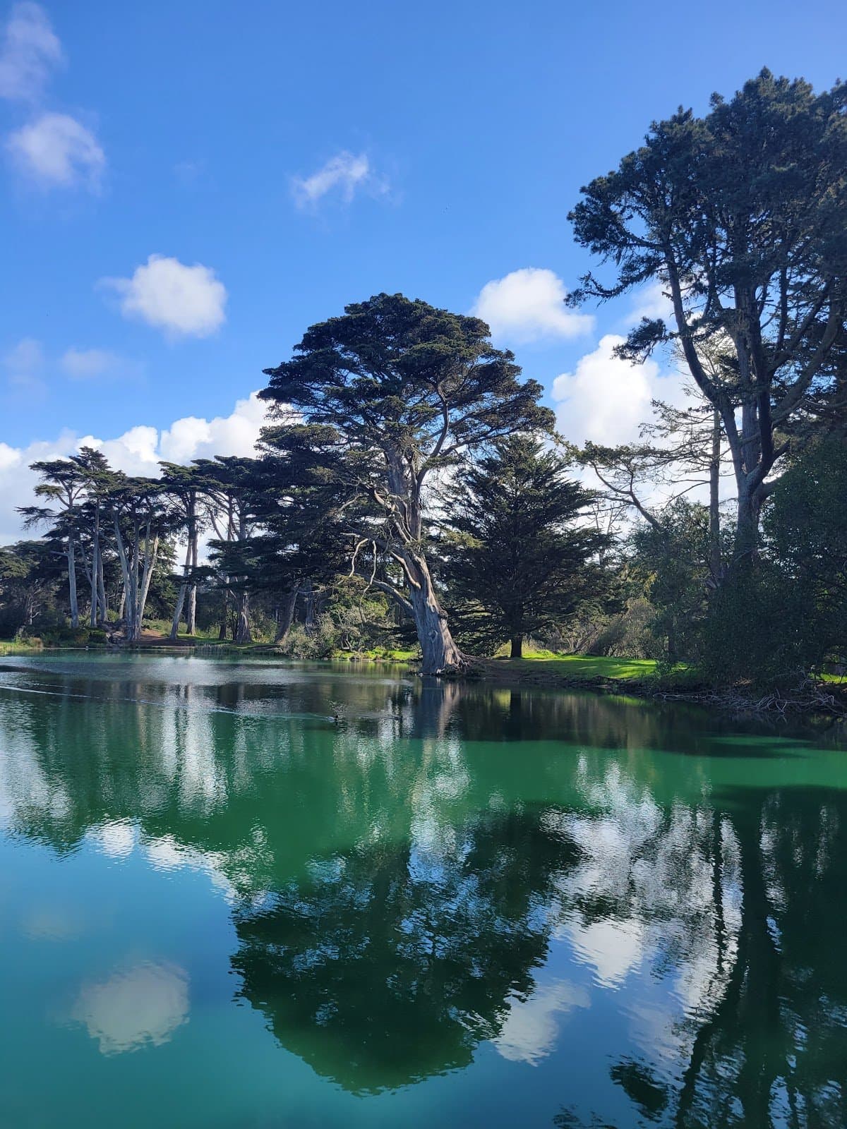 Little Forest Explorers - Hero/Card