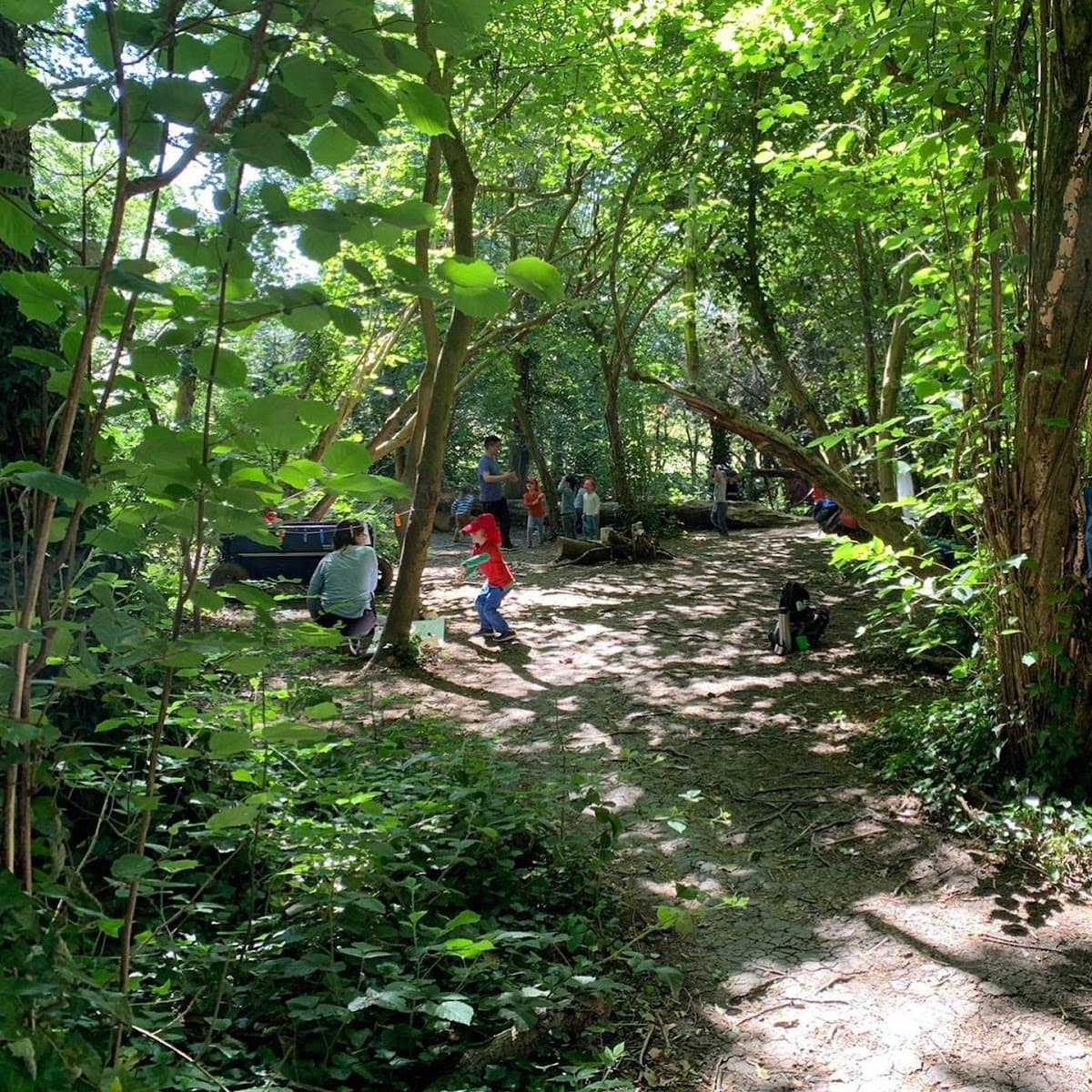 Little Foxes Forest School - Atmosphere