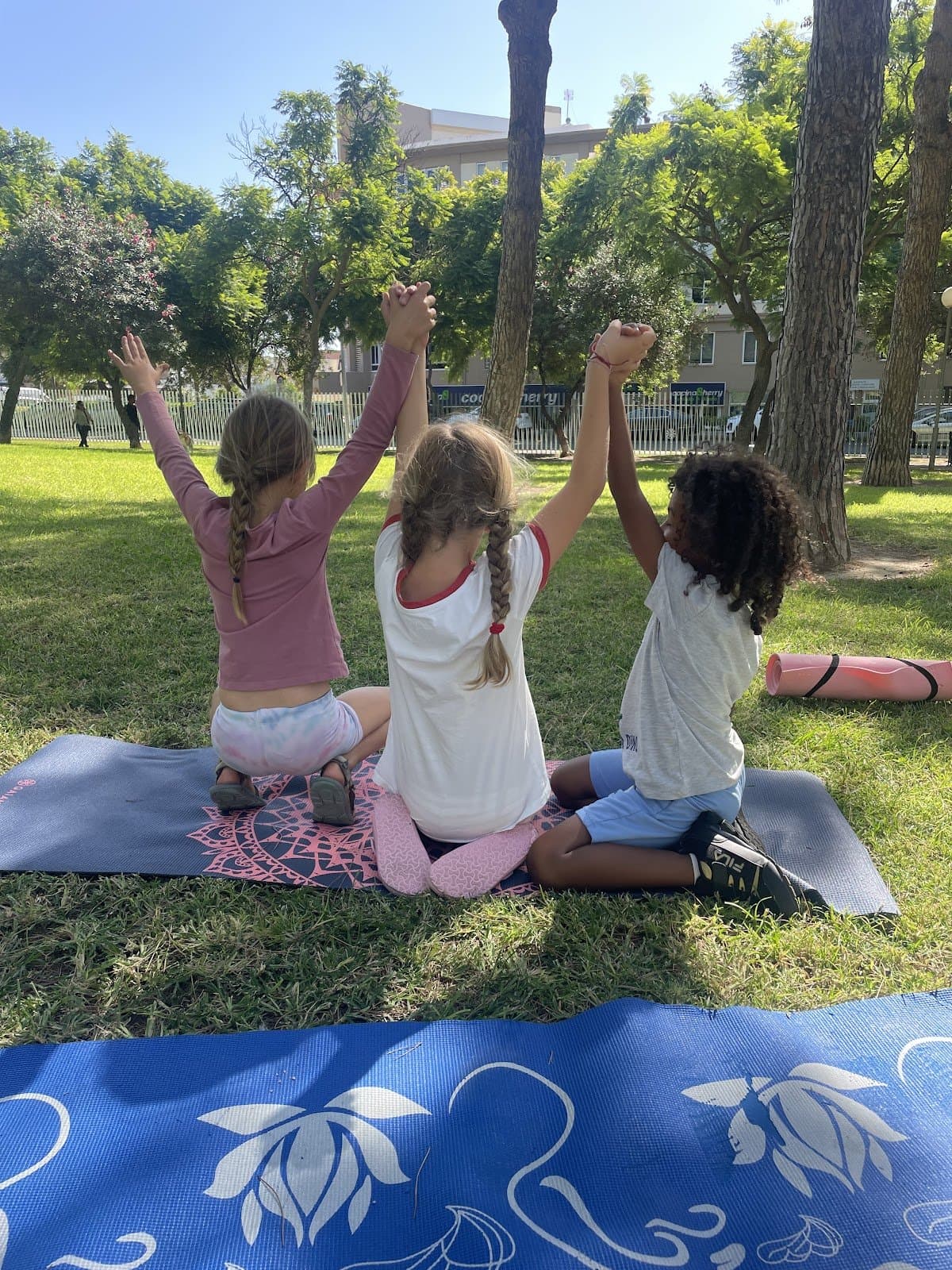 Lumina Academy - Activity