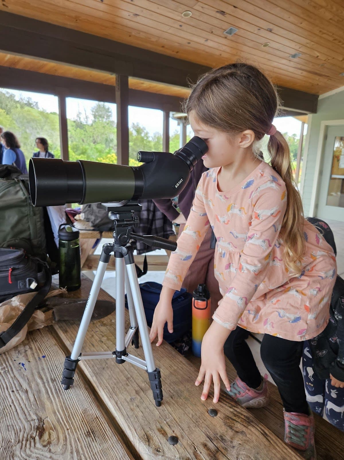 Mangrove School of Sarasota - Activity