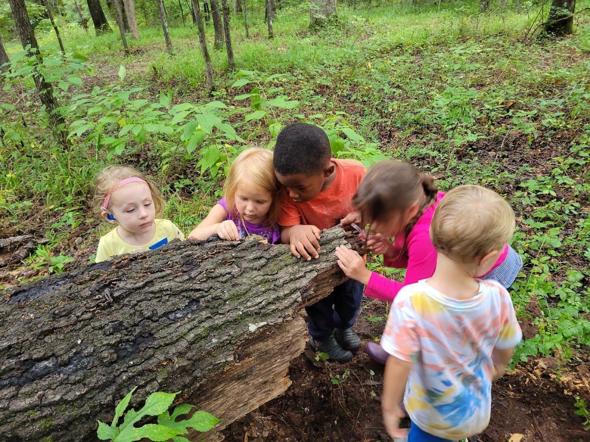 Naturally Nurtured Nature School - Activity