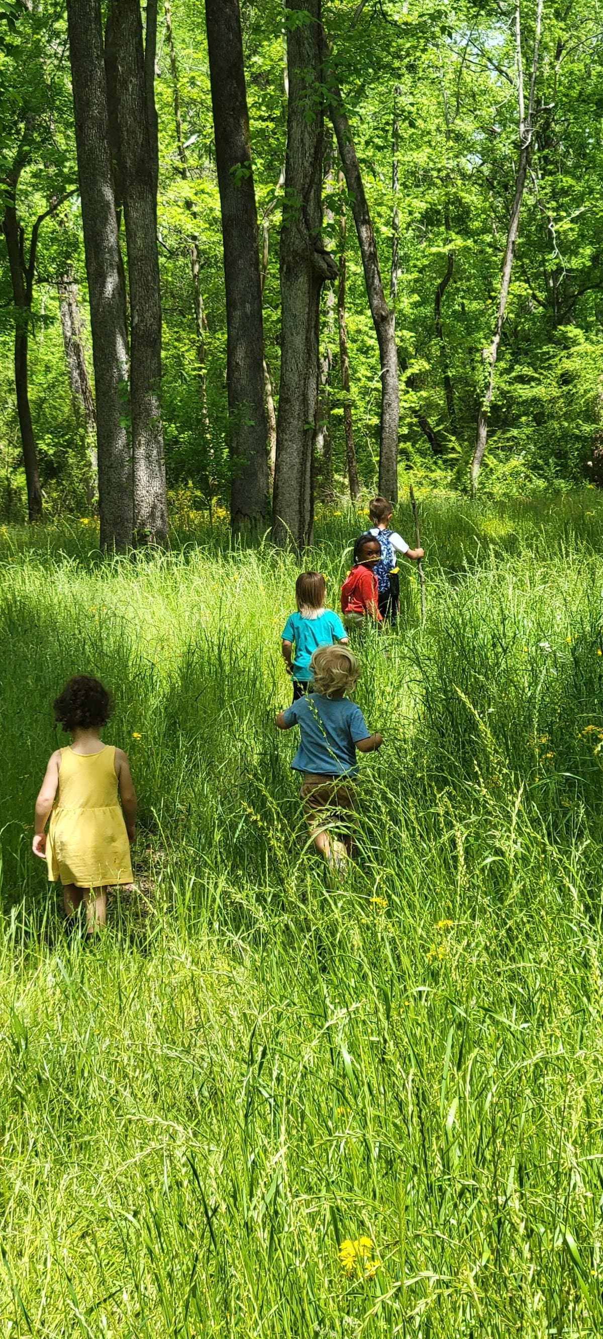 Naturally Nurtured Nature School - Atmosphere