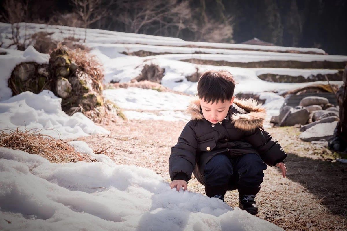 Nature at Heart School - Atmosphere