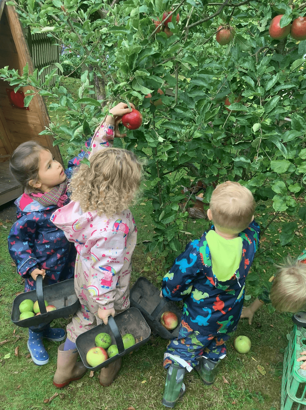 Nature Garden Day Nursery & Forest School - Atmosphere