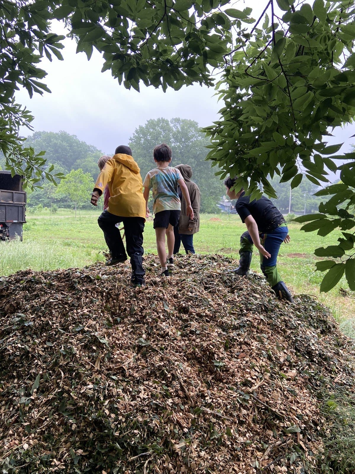 Nature Kin Farm and Forest School - Atmosphere