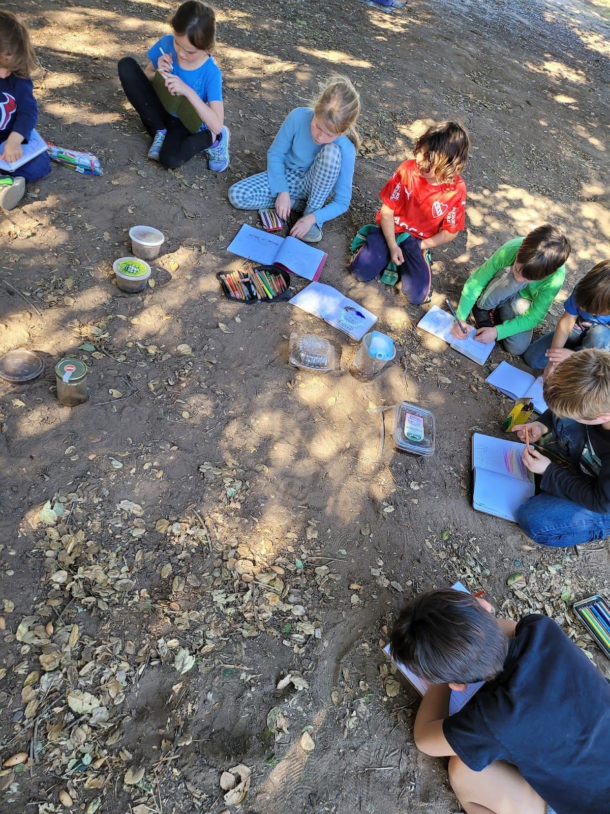Nature School LA - Activity