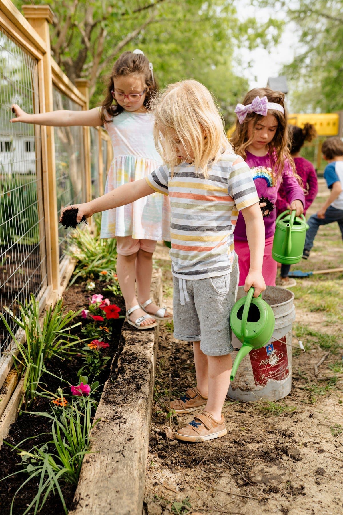Nature School of Fairview - Activity