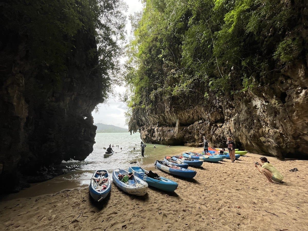 NatureMind-ED - Hero/Card