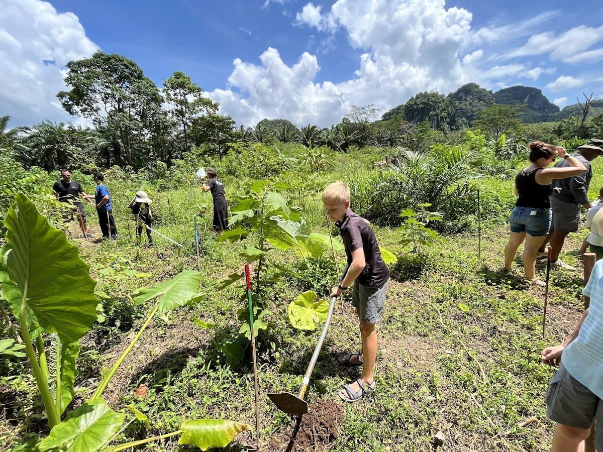 NatureMind-ED - Activity