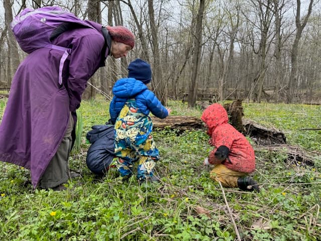 North Central Co-op Oak Leaf Forest School - Hero/Card