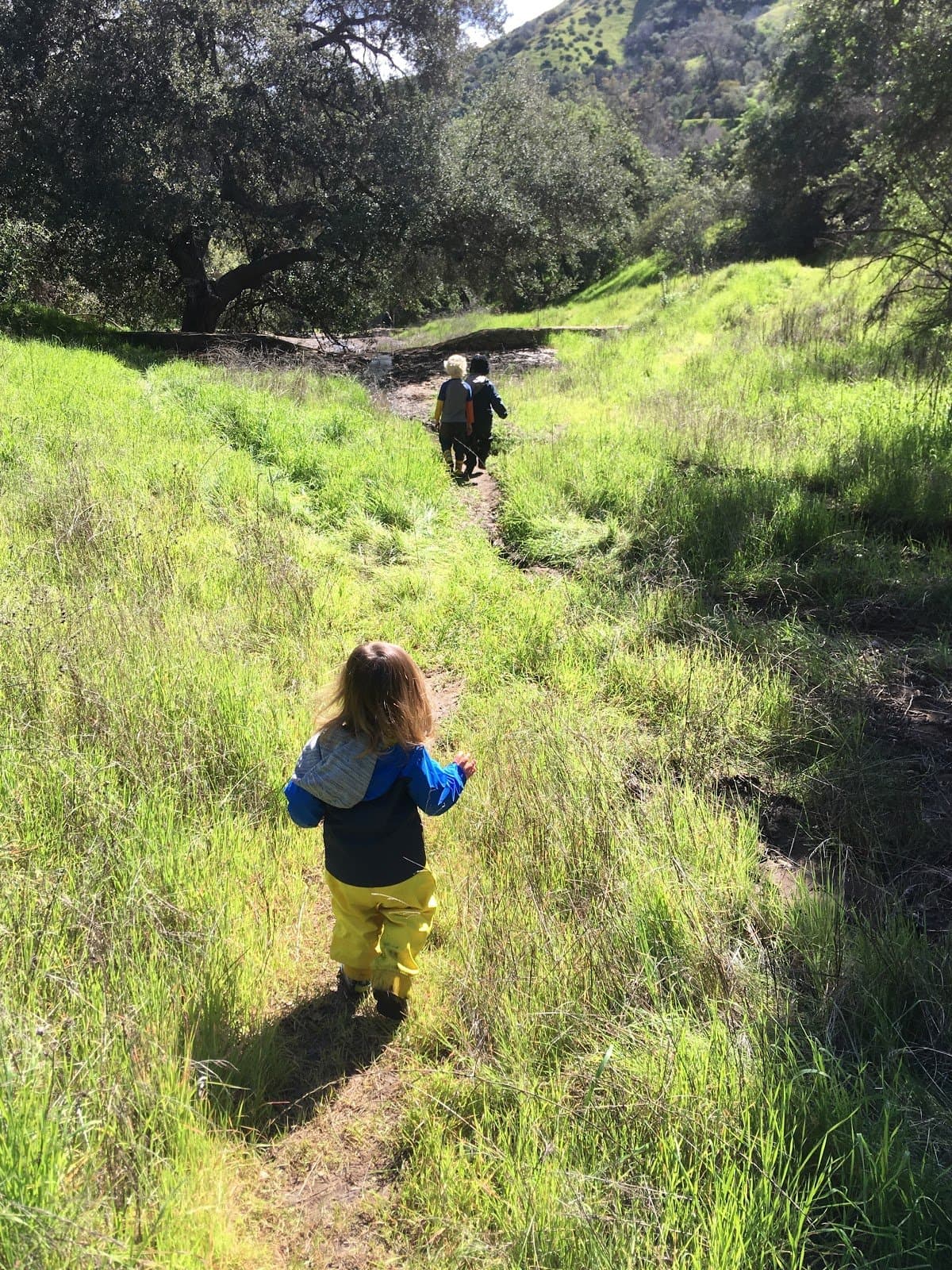 Northeast LA Forest School - Hero/Card
