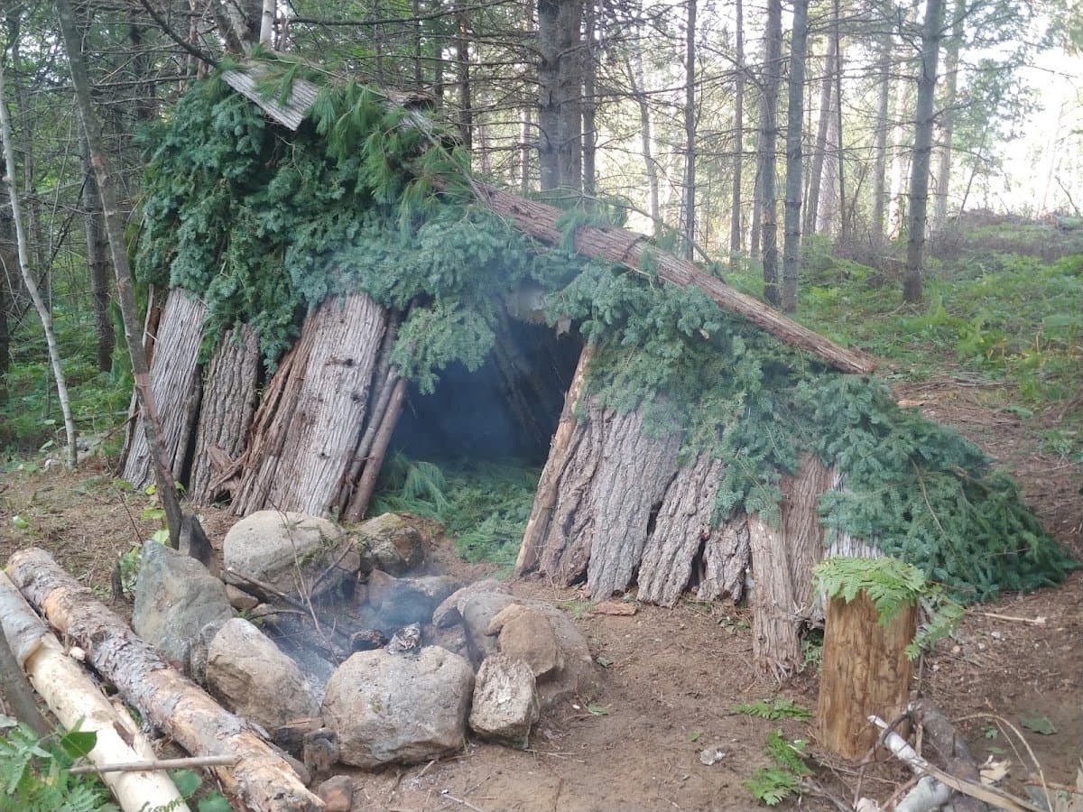 Nurture the Nature Forest School - Hero/Card