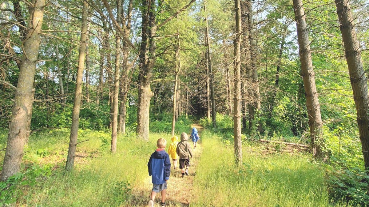 Oak Ridge Nature School - Hero/Card