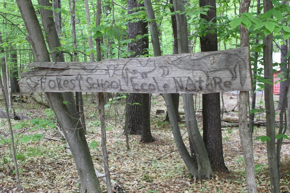 Ottawa Forest and Nature School - Hero/Card