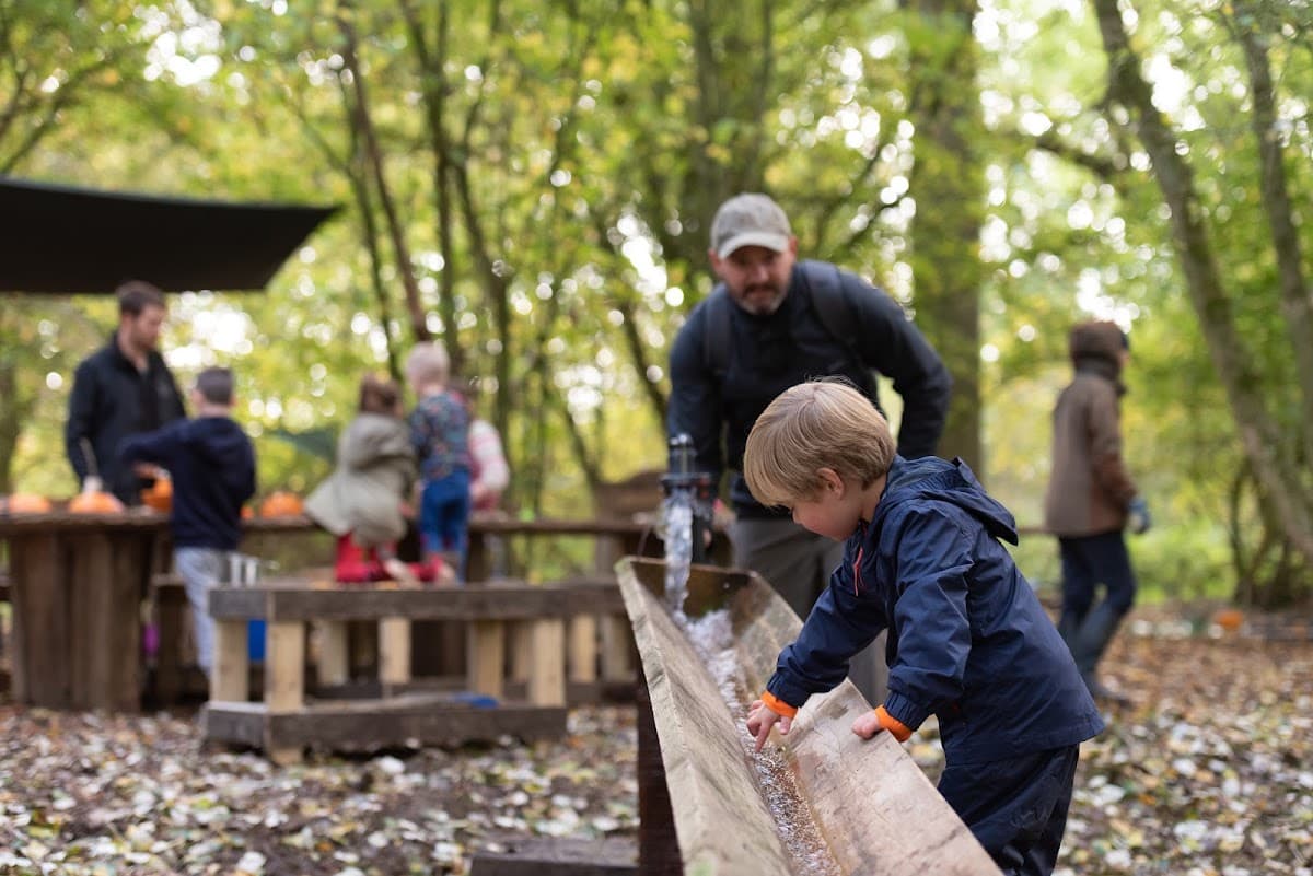 Out There Forest School - Hero/Card