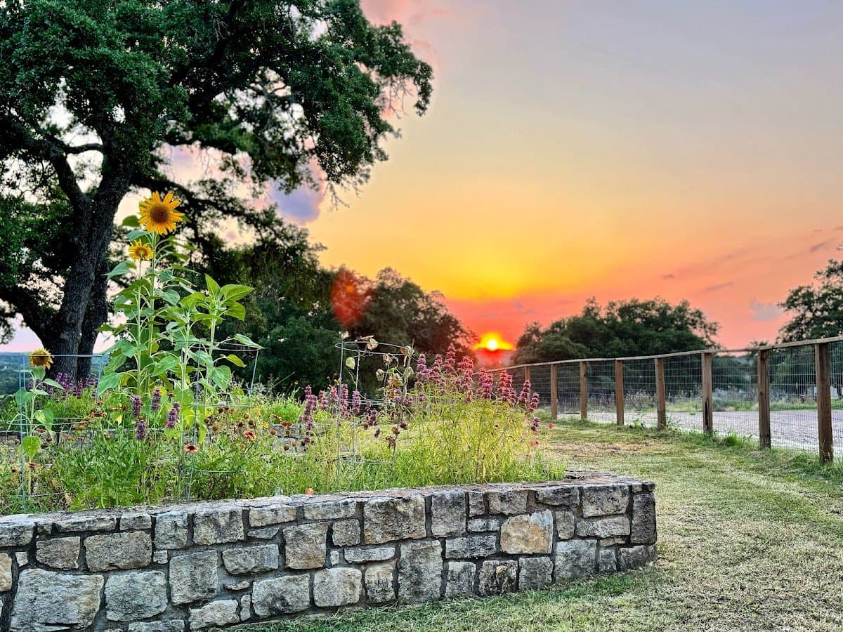 Over Yonder Nature School - Activity