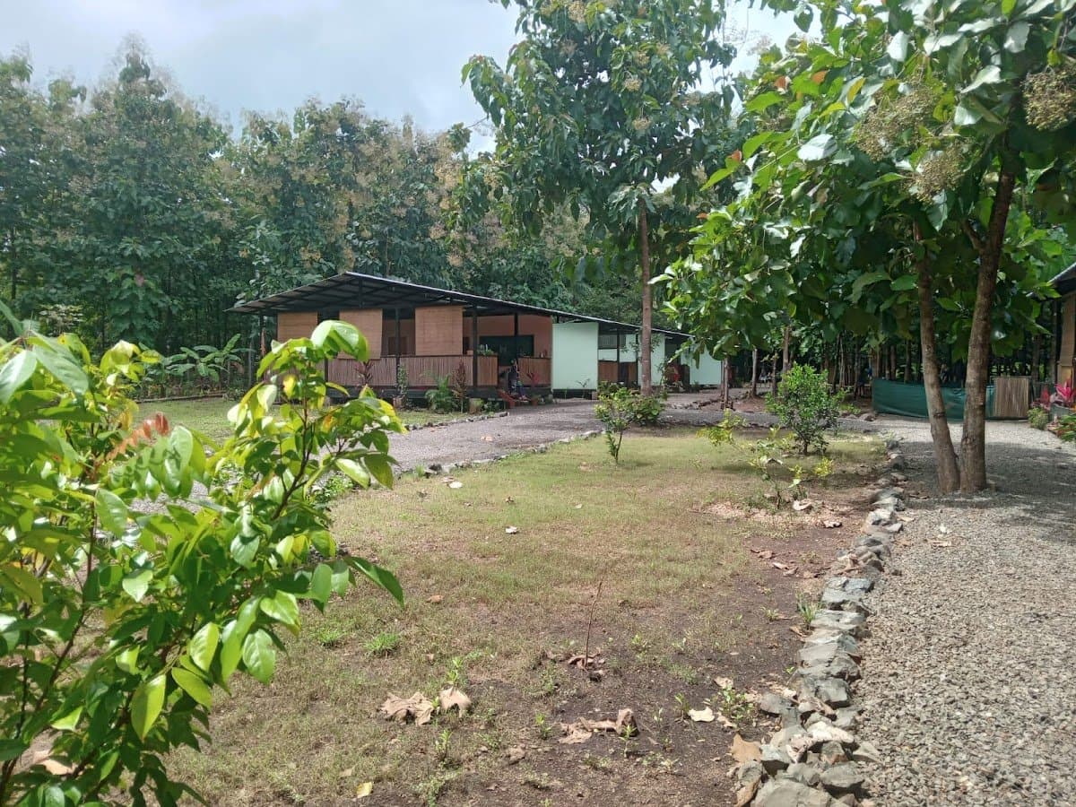 Pacífico Internacional - Hero/Card