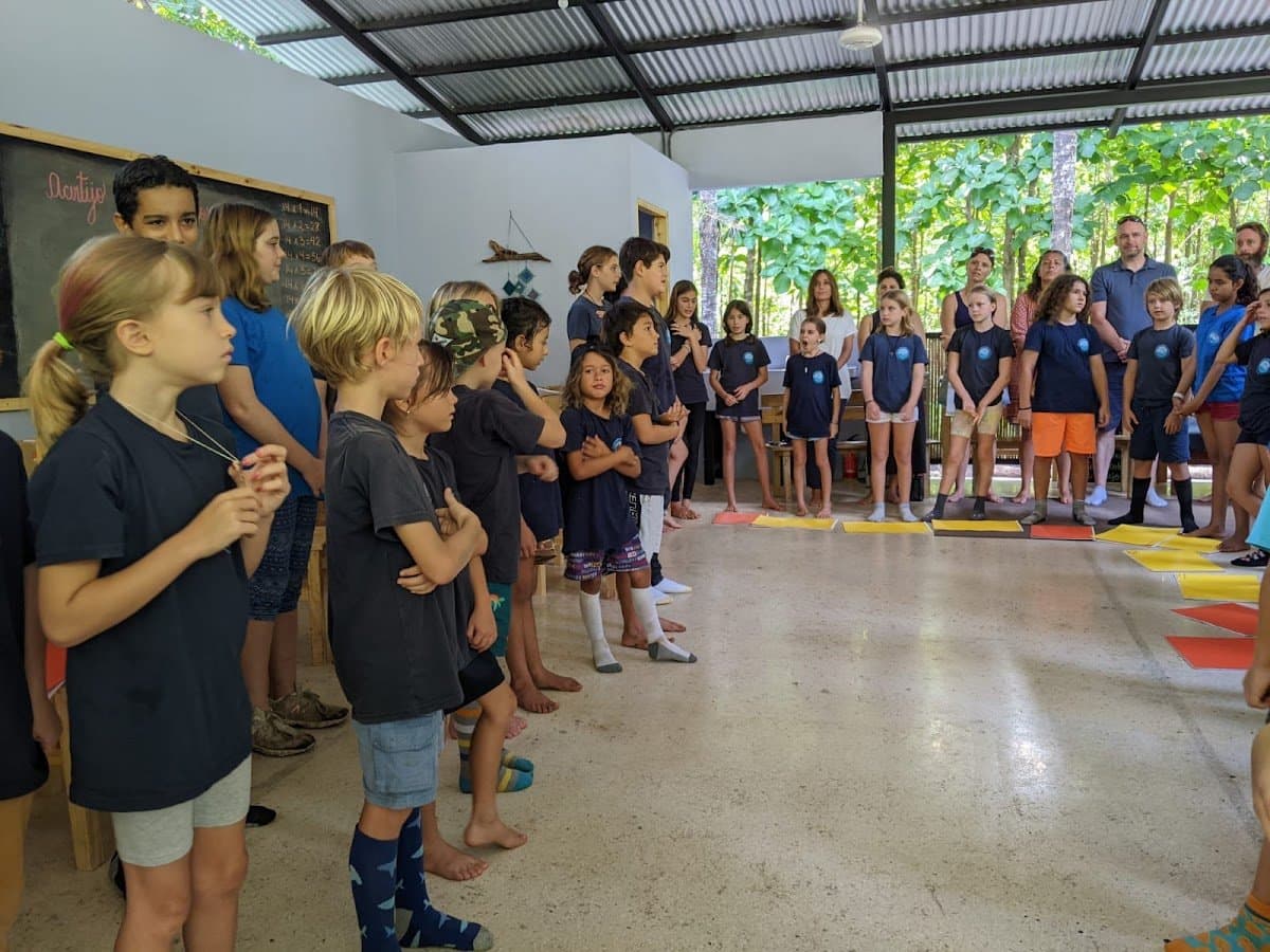 Pacífico Internacional - Activity