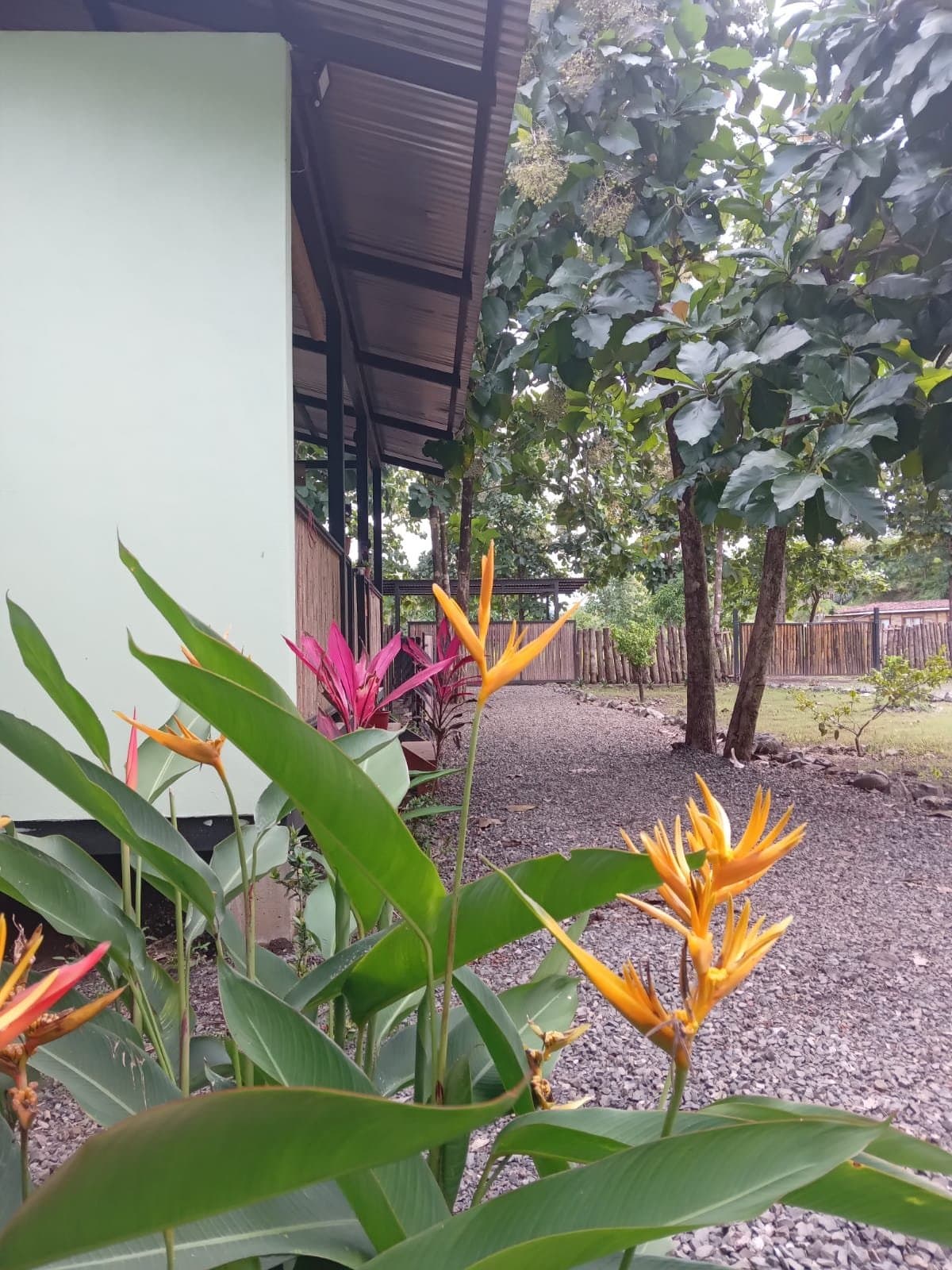 Pacífico Internacional - Atmosphere