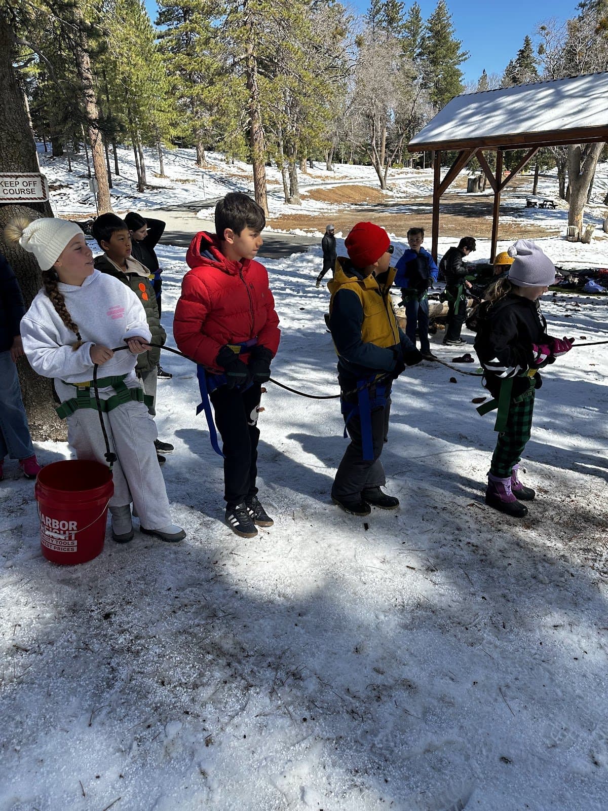 Pali Institute - Activity