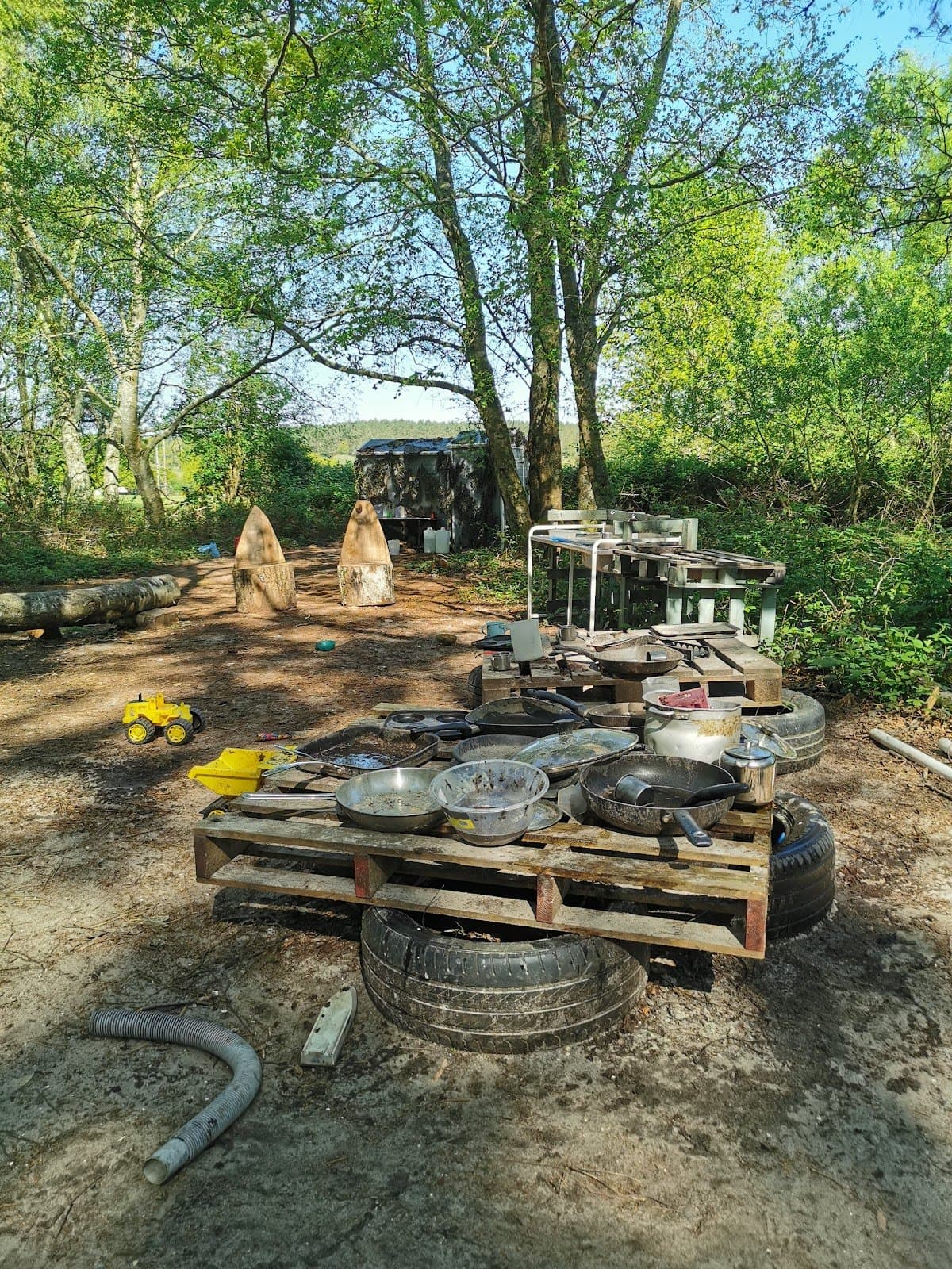 Poole Forest School - Activity
