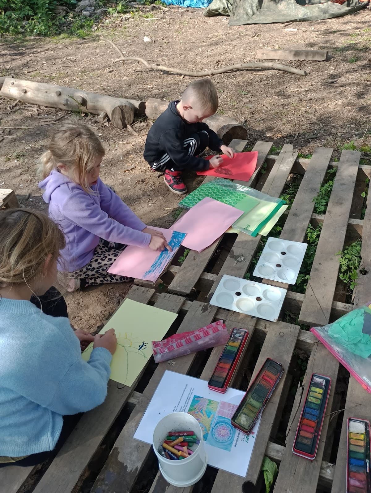 Primary Forest School & Outdoor Education - Activity