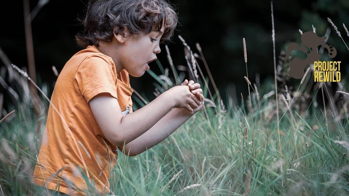 Project Rewild - Activity
