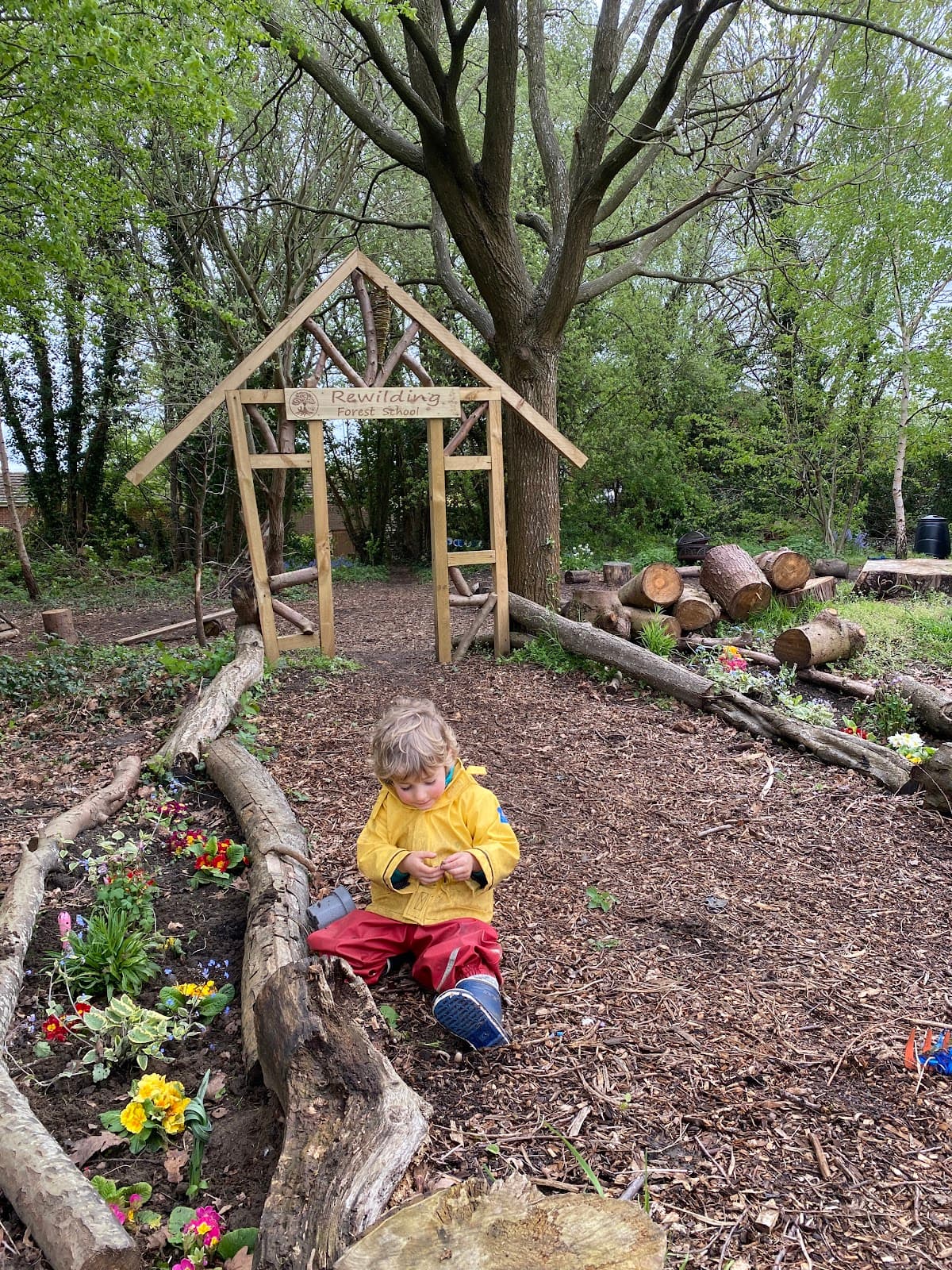 Rewilding Forest School - Activity