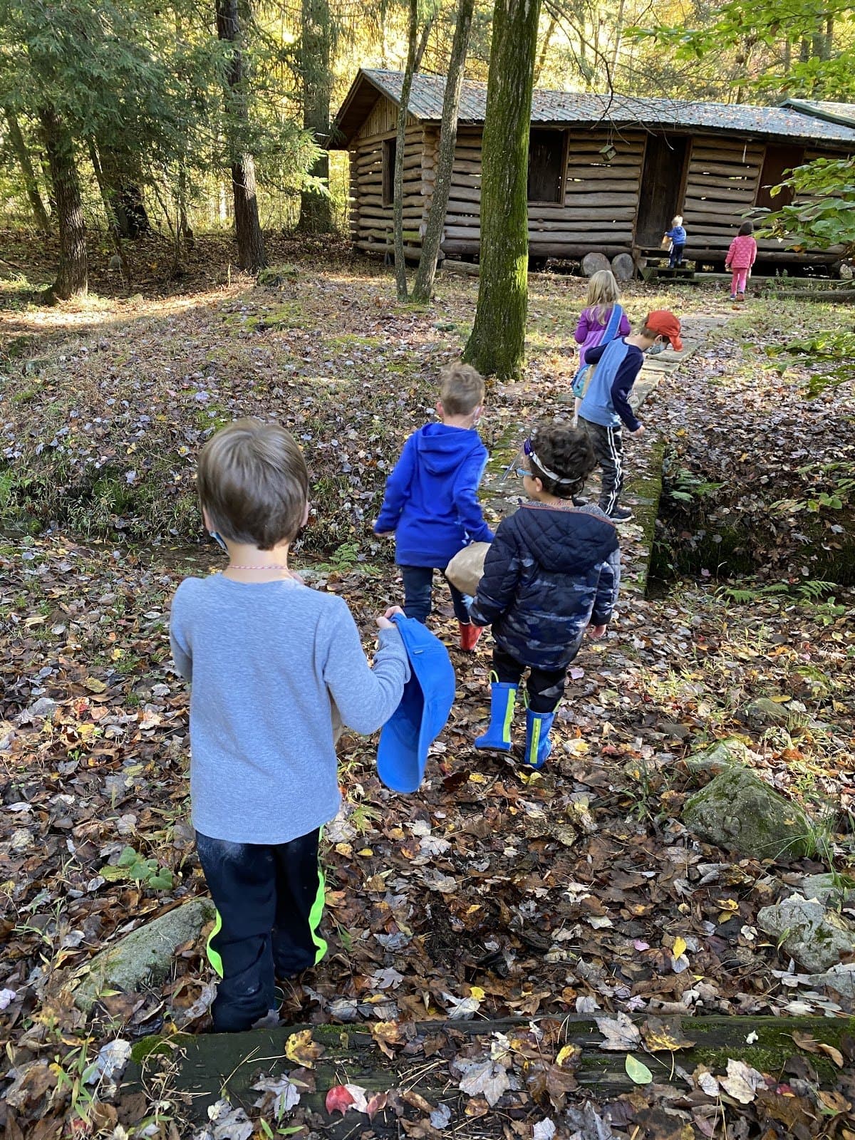 Rooted & Free Nature School - Hero/Card