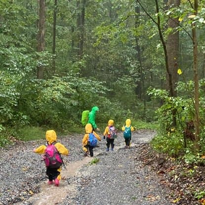 Rooted & Free Nature School - Activity