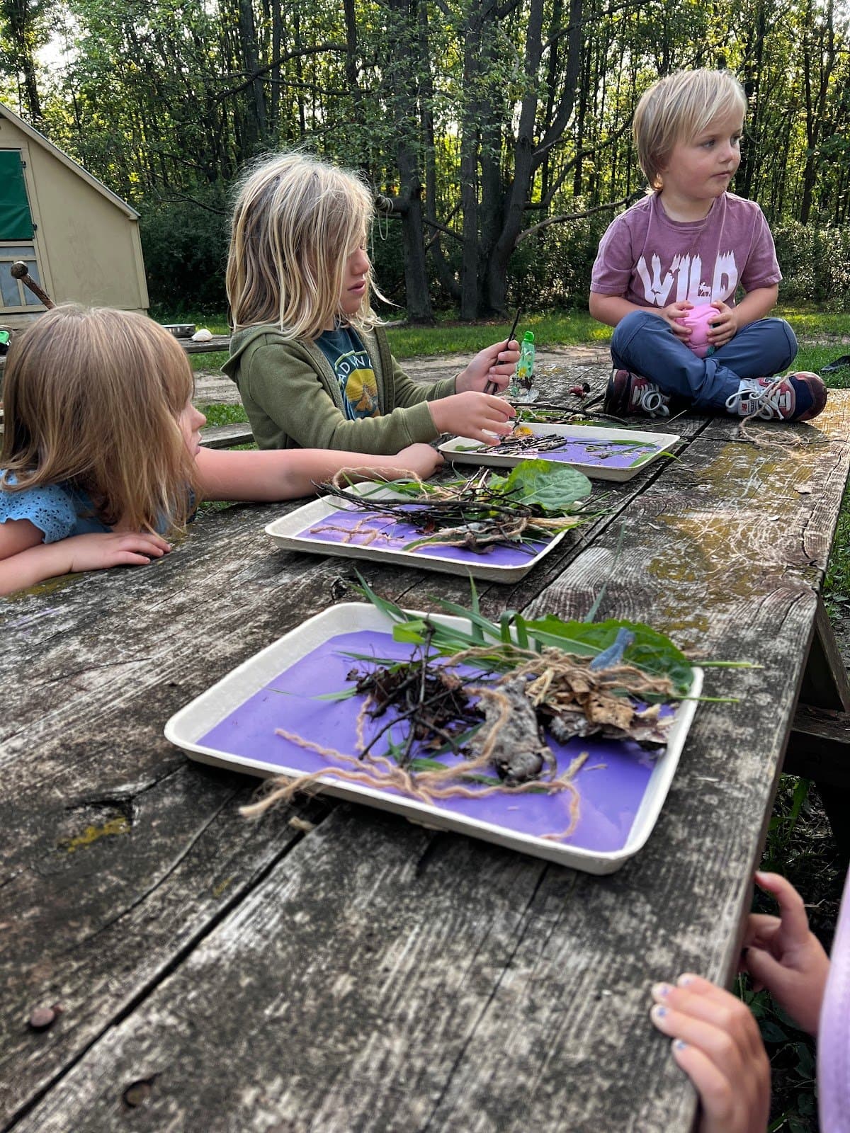 Sandhill Forest School Of Livingston County - Hero/Card