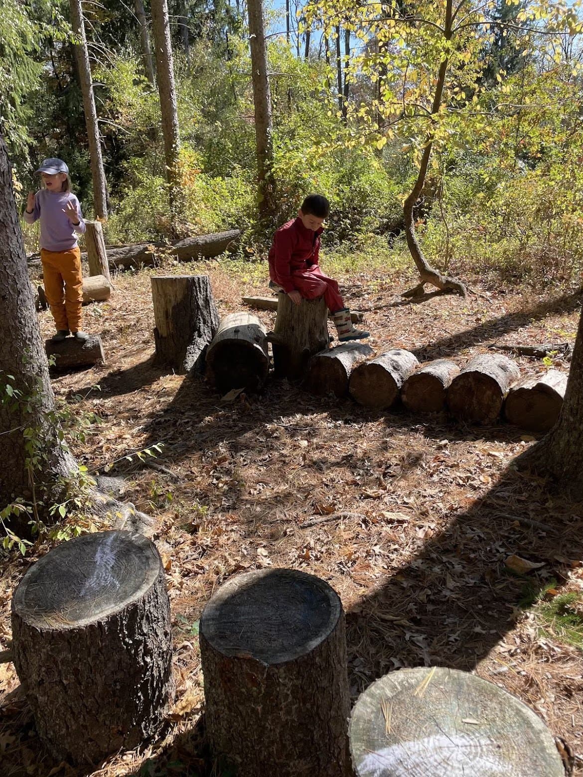 Sapling Woods Nature School - Hero/Card